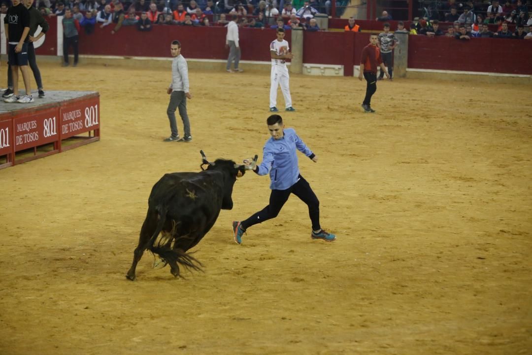 Primera jornada de vaquillas