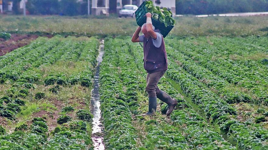 El Consejo Nacional del Agua dará vía libre al recorte del trasvase Tajo-Segura