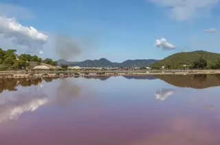 Com era un dia a la vida dels antics saliners d'Eivissa: «La testosterona manava, com diuen, ‘Sujétame el cubata’, perquè es picaven els uns als altres»