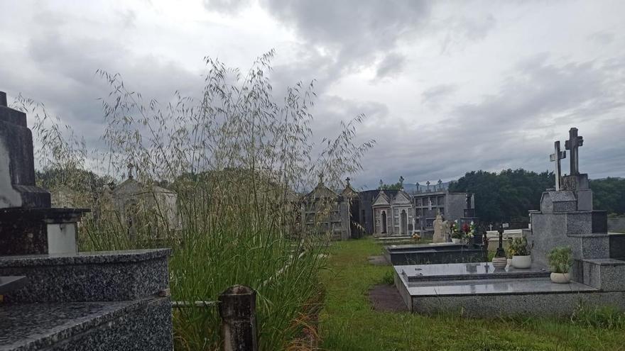 Vecinos de A Estrada denuncian el abandono del cementerio municipal por falta de mantenimiento