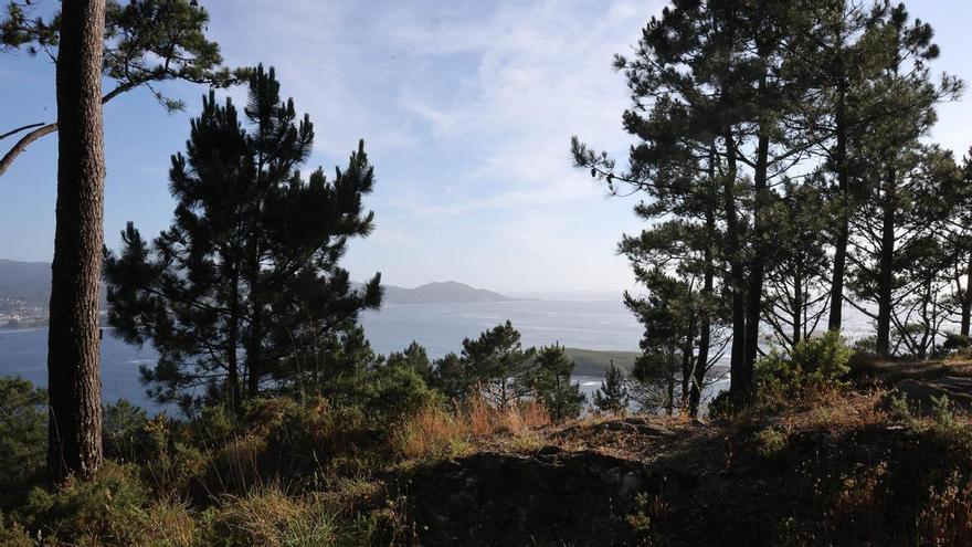 Un padre y una hija que utilizaban la aplicación de «Geocaching» localizan un cuerpo momificado en Monteferro (Nigrán)