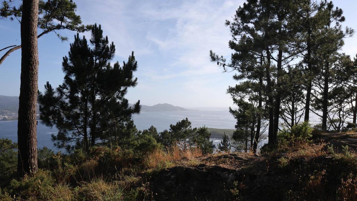 Zona de Monteferro donde fue encontrado un cuerpo momificado por un padre y una hija jugando a "Geocaching"