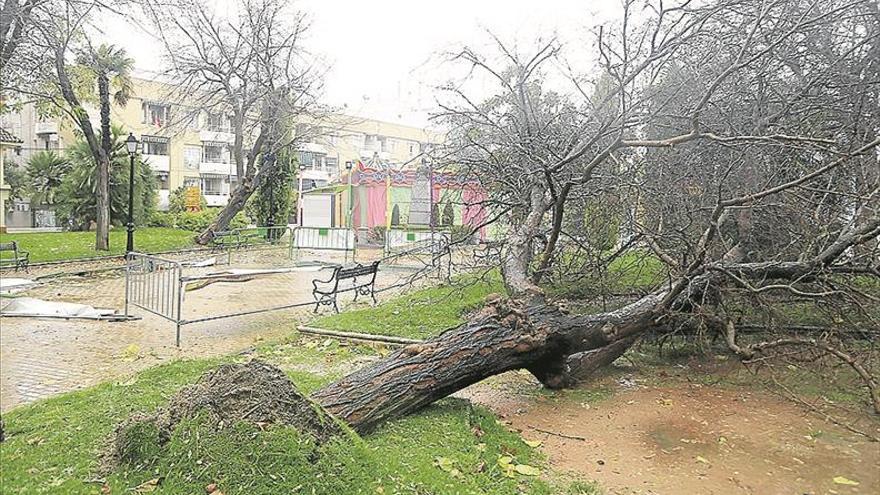 Un temporal de viento y lluvia obliga al consistorio a cerrar todos los parques