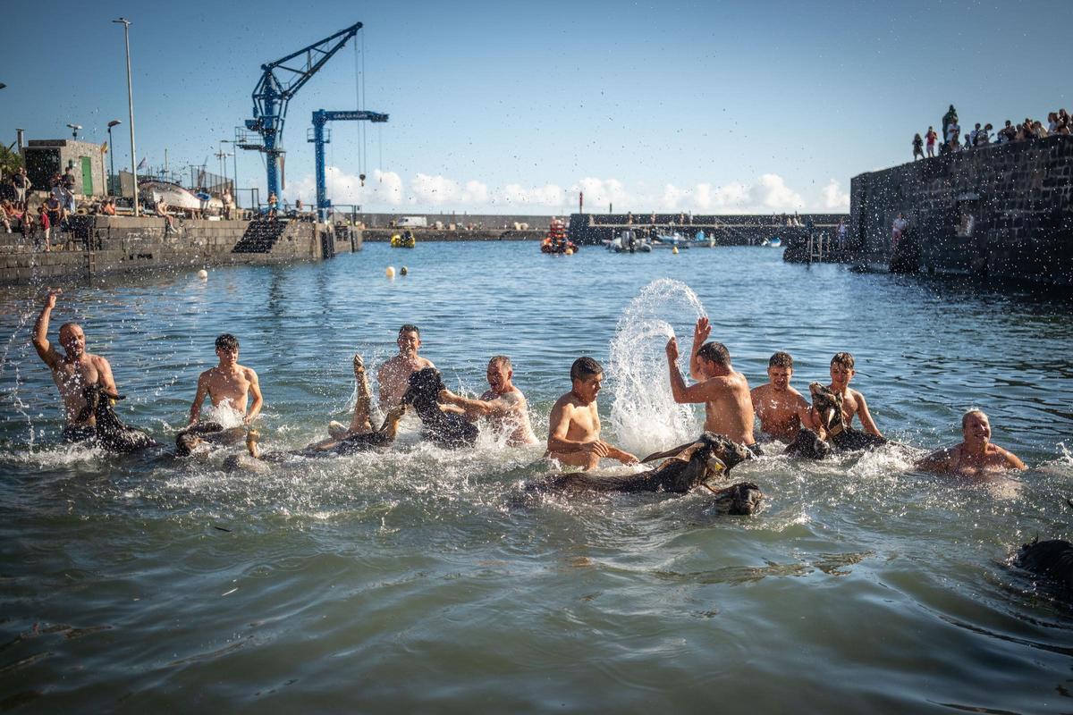 Varios cabreros y su familia bañando a las cabras
