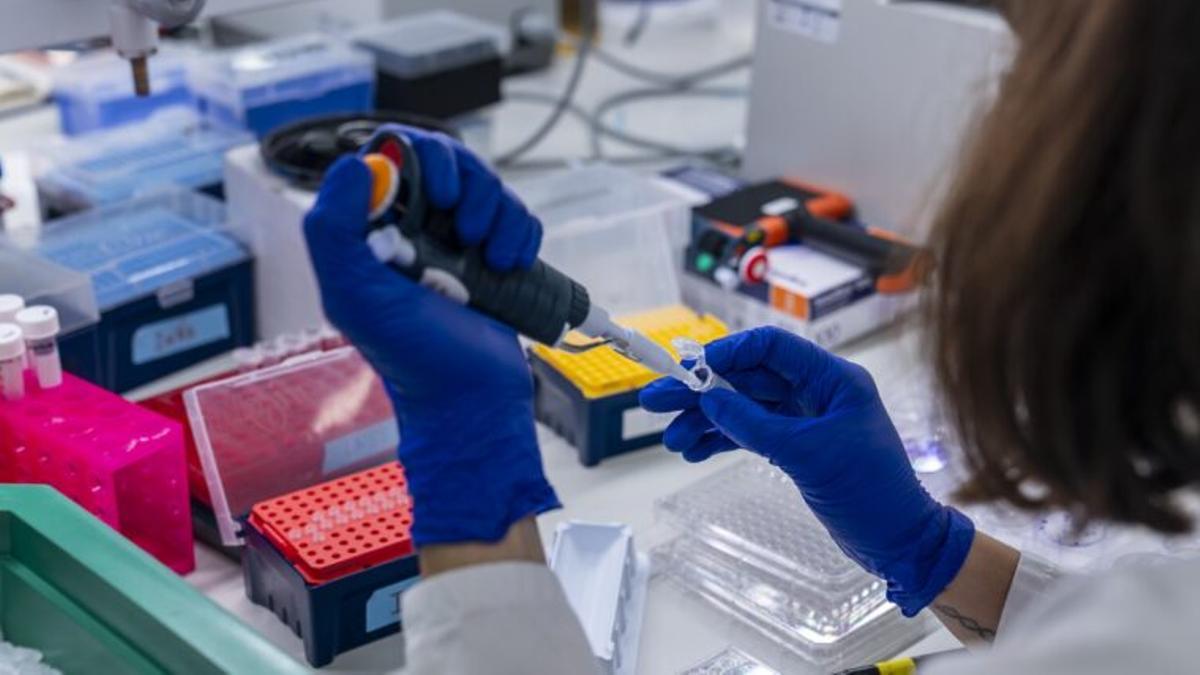 Primer plano en un laboratorio