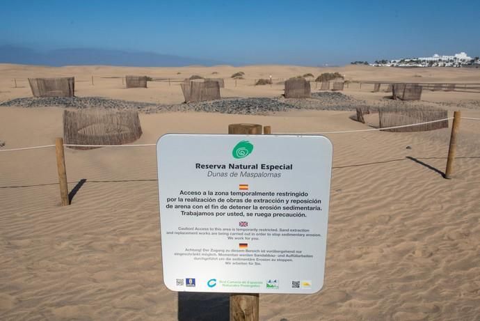 Segunda fase del proyecto de recuperación de las dunas de Maspalomas