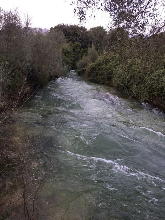 El torrente de Campanet, al máximo de su caudal