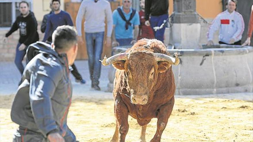 El cartel taurino de Sant Vicent se cierra con un herido por cornada