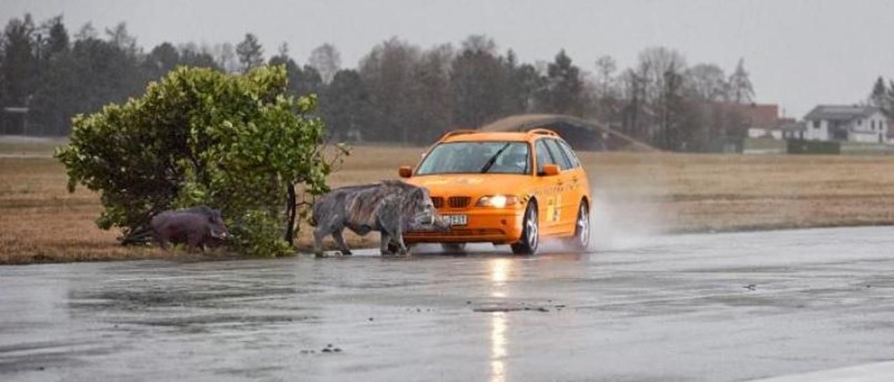 Un momento del &quot;crash test&quot; realizado por el RACE. // RACE