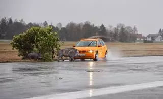 El "crash test" que muestra las consecuencias de un accidente con jabalíes