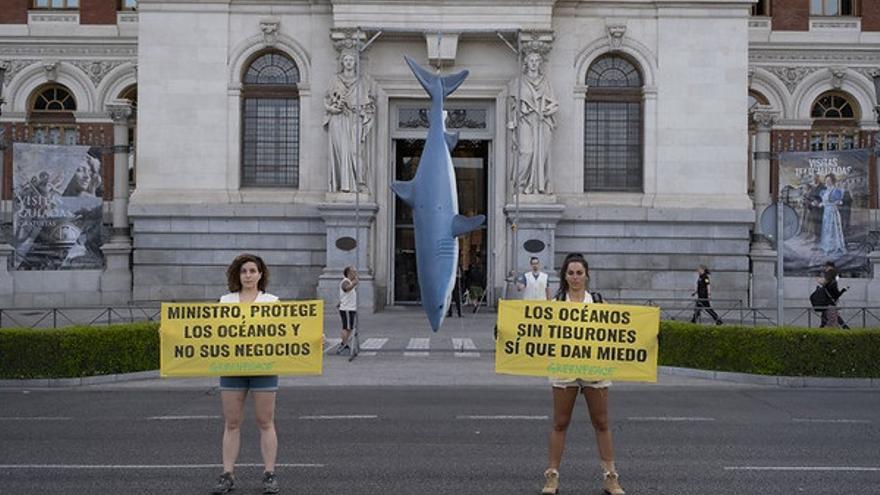 Activistas de Greenpeace cuelgan un tiburón de 5 metros en la puerta del Ministerio de Pesca..