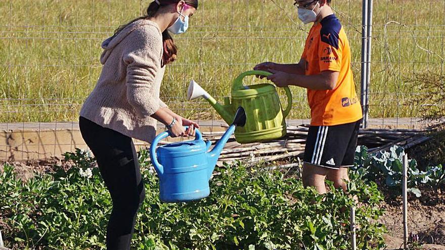 Dos de los falleros trabajan en el huerto. | NOVA D’ORRIOLS