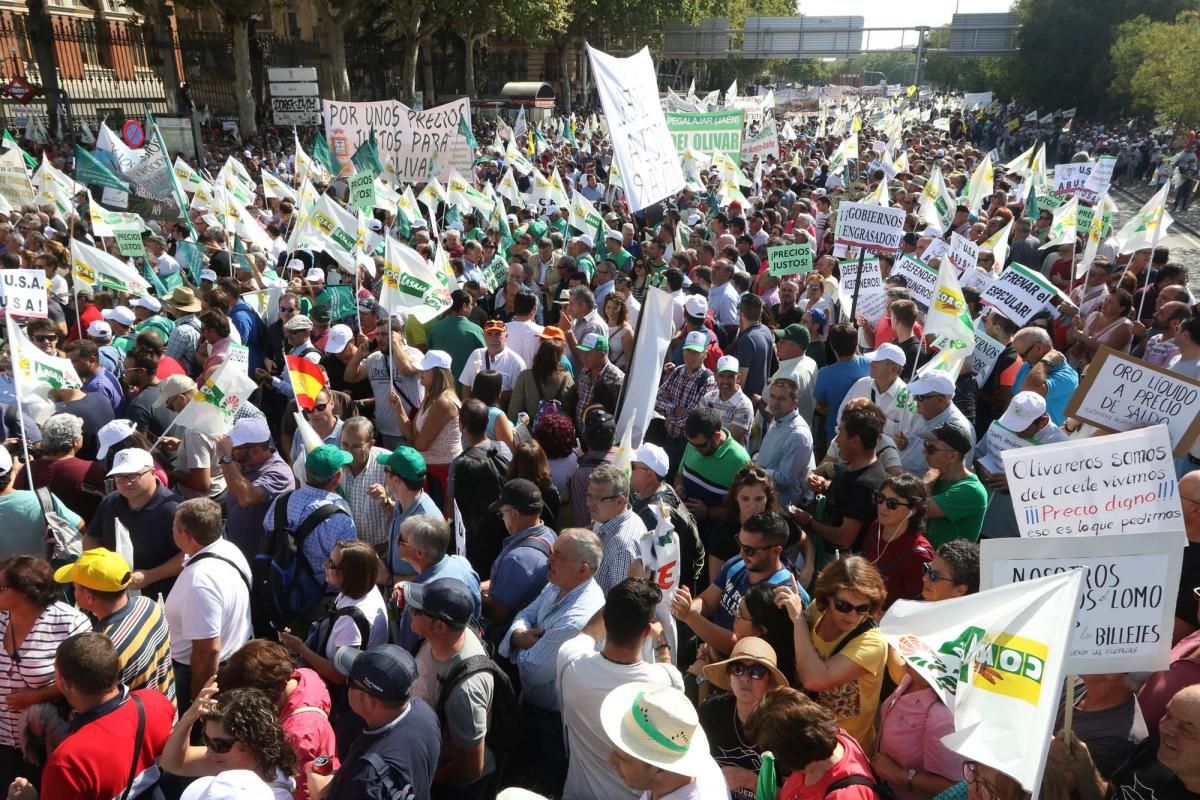 Córdoba se suma a la gran manifestación del olivar en Madrid