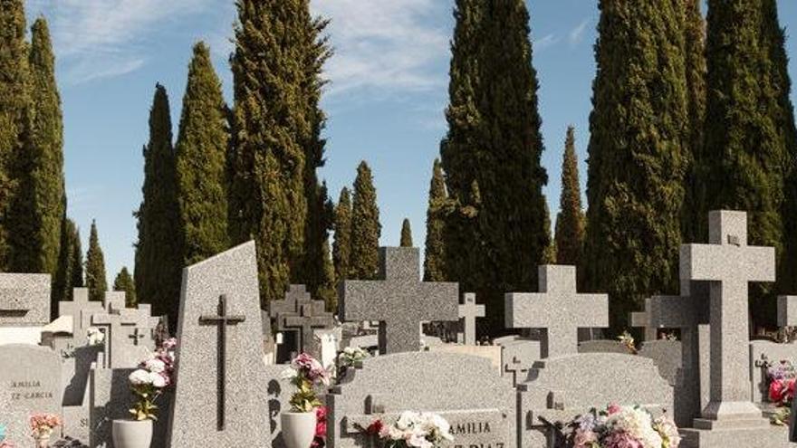 Imagen del cementerio de Guadalajara