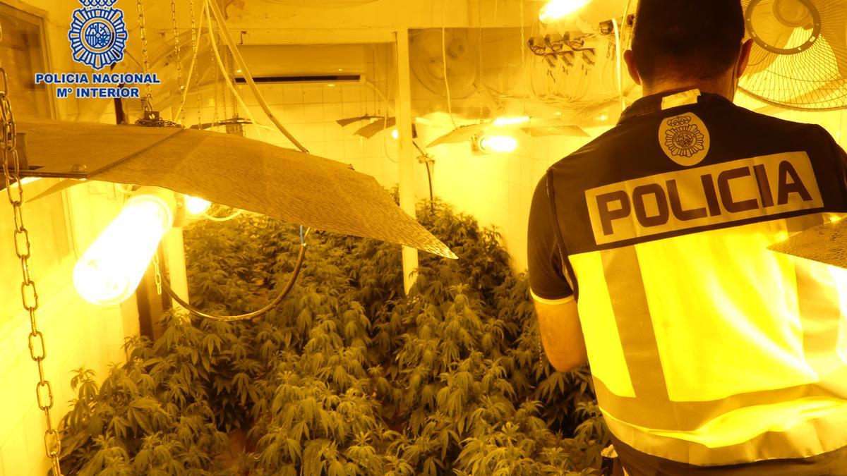 Policía Nacional inspecciona la droga en Alcantarilla