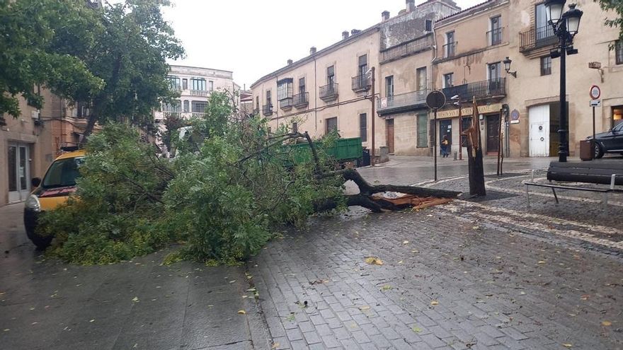 Fotogalería | Así afecta el temporal de lluvia y viento en Cáceres