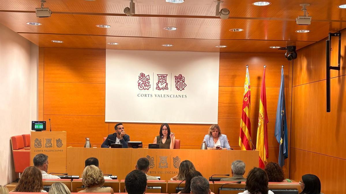 Morant interviene ante el grupo parlamentario socialista de las Corts