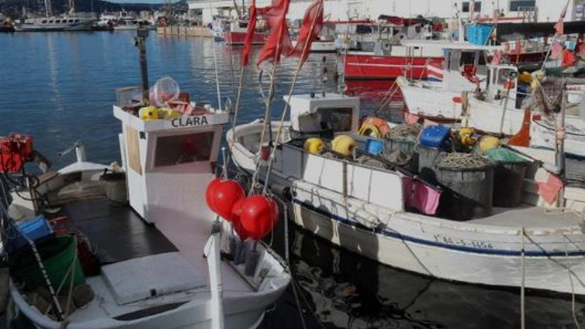 El port de Palamós, en una imatge d'arxiu.