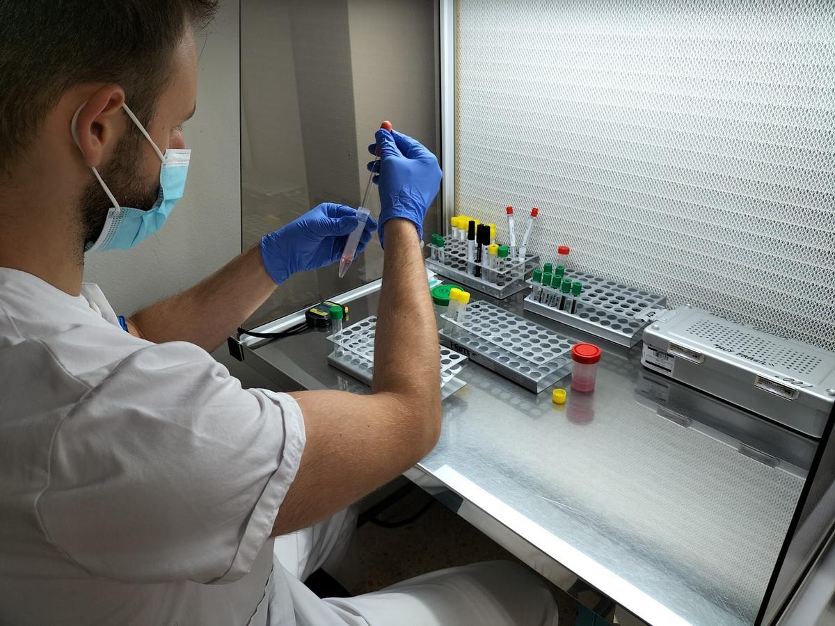 Un técnico realiza un proceso de capacitación espermática en el laboratorio del Hospital General de Castelló.
