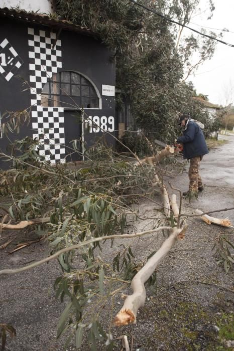 El temporal sacude Ourense