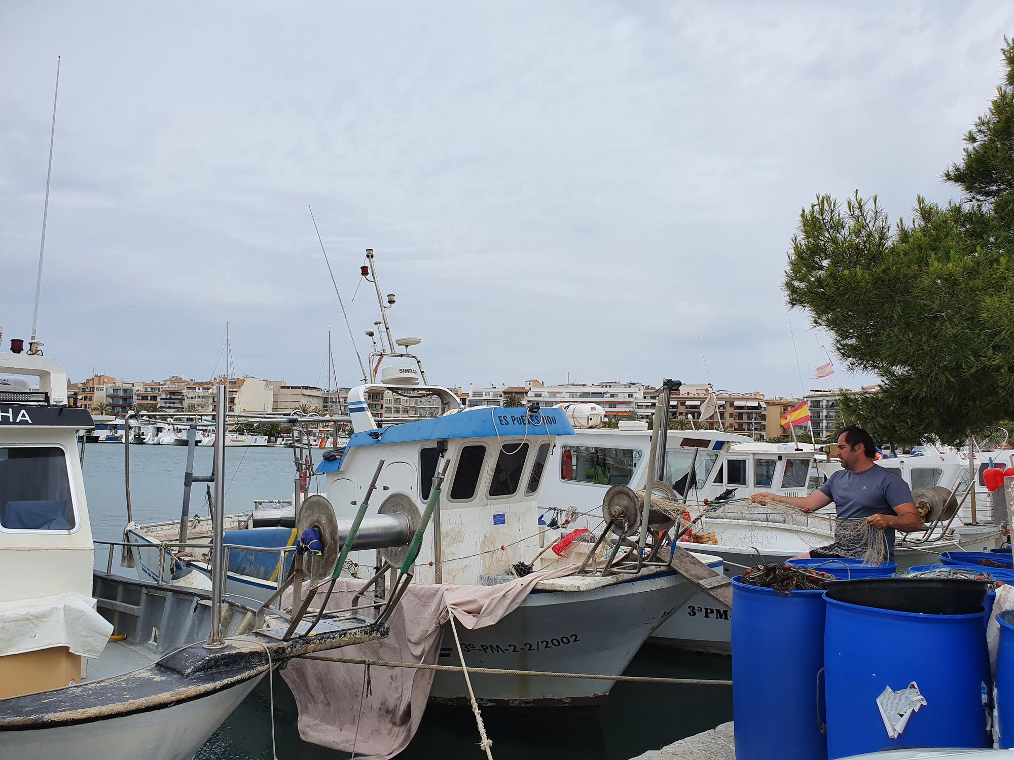 Los pescadores se quedan en tierra