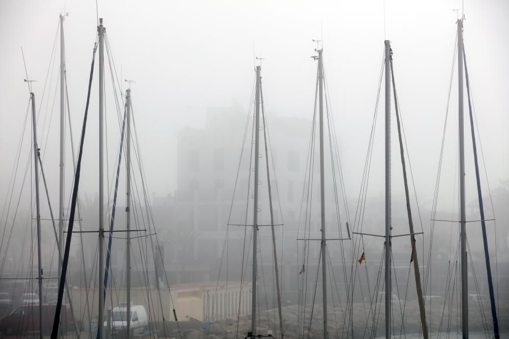 Palma amanece cubierta por la niebla