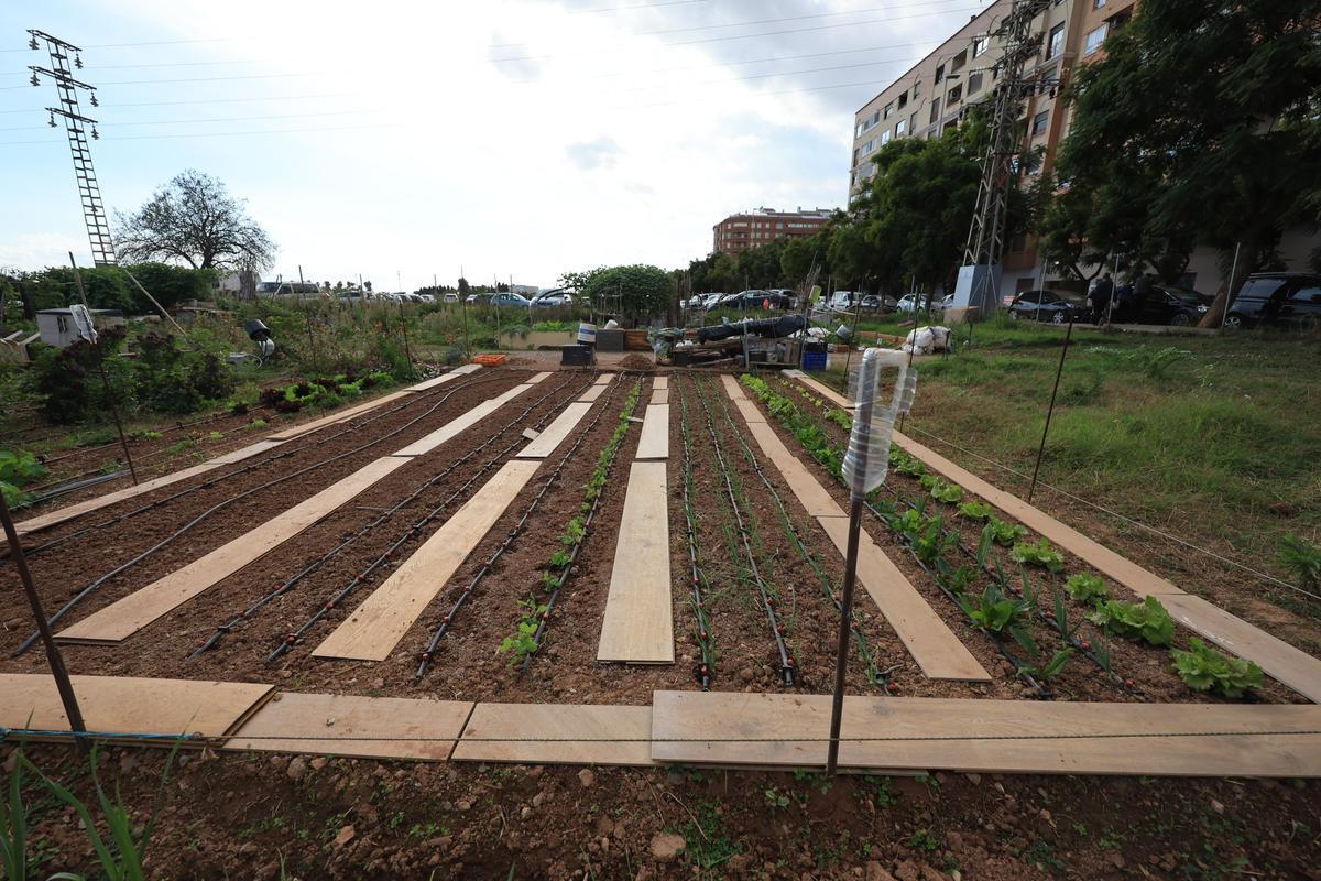 Otra imagen de los terrenos destinados a huerto urbano.