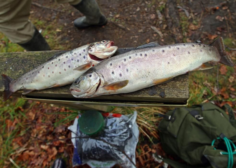 Arranca la temporada de pesca en Zamáns