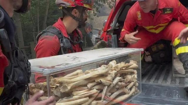 L’UME trasllada una urna de San Juan de la Peña amb restes òssies. | UNITAT MILITAR D’EMERGÈNCIES