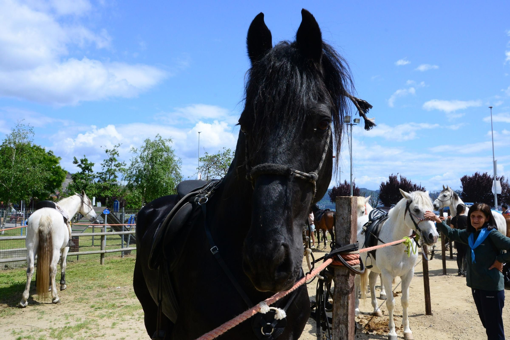 Más de 200 jinetes en la Xuntaza Cabalar de Moaña
