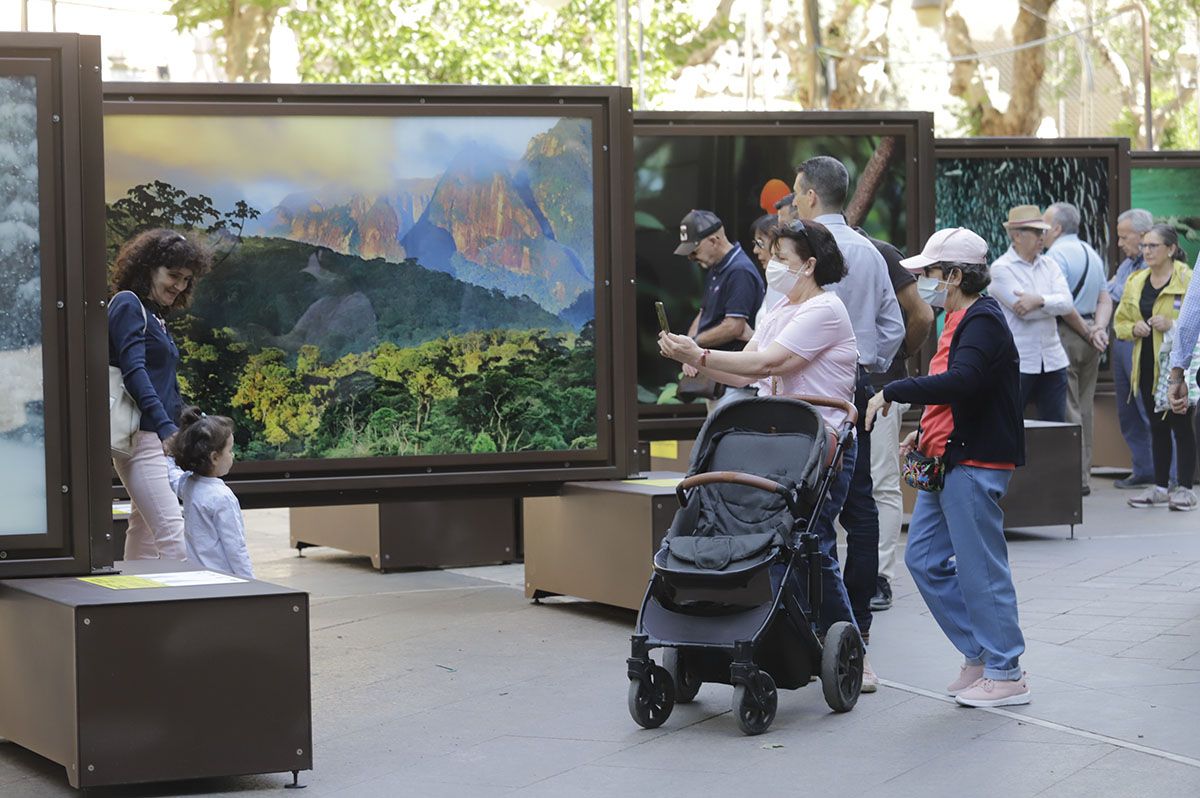 Las fotos de National Geographic en la Bienal de Córdoba