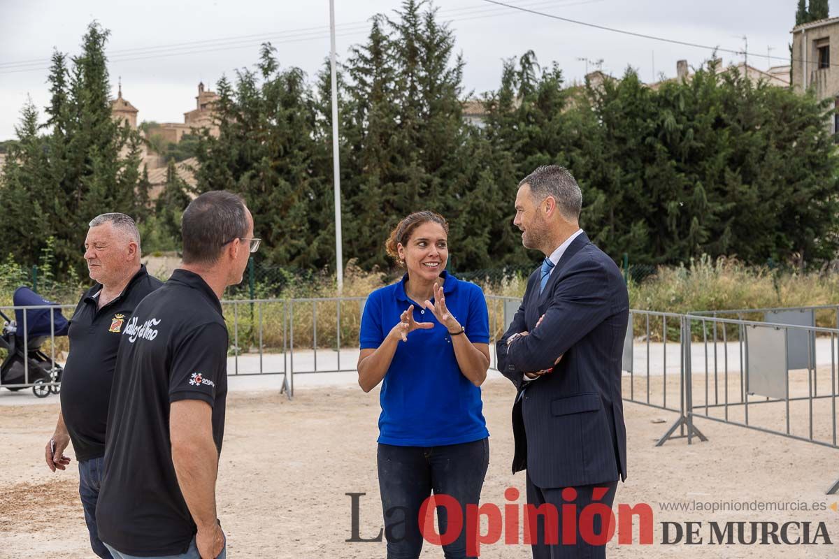 Control veterinario de los Caballos del Vino en Caravaca