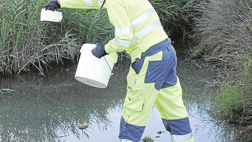 Los municipios se ponen ya las pilas contra los mosquitos