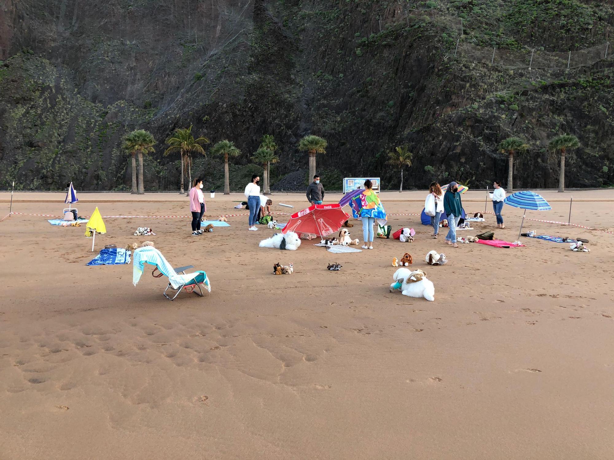 Acción pacífica en la playa de Las Teresitas en demanda de una zona para mascotas