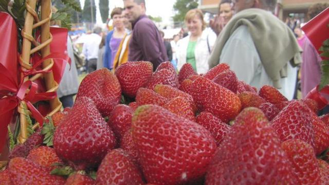 En primer término, fresas en una pasada edición del festival de Grullos.  | Lorena Valdés