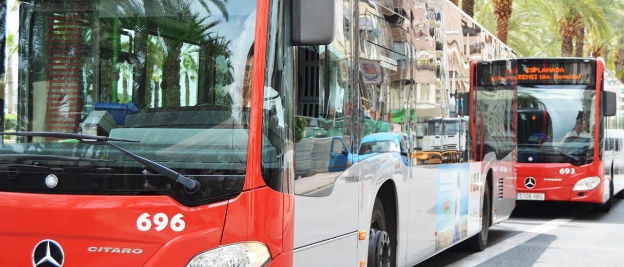 Dos autobuses municipales de la ciudad de Alicante.