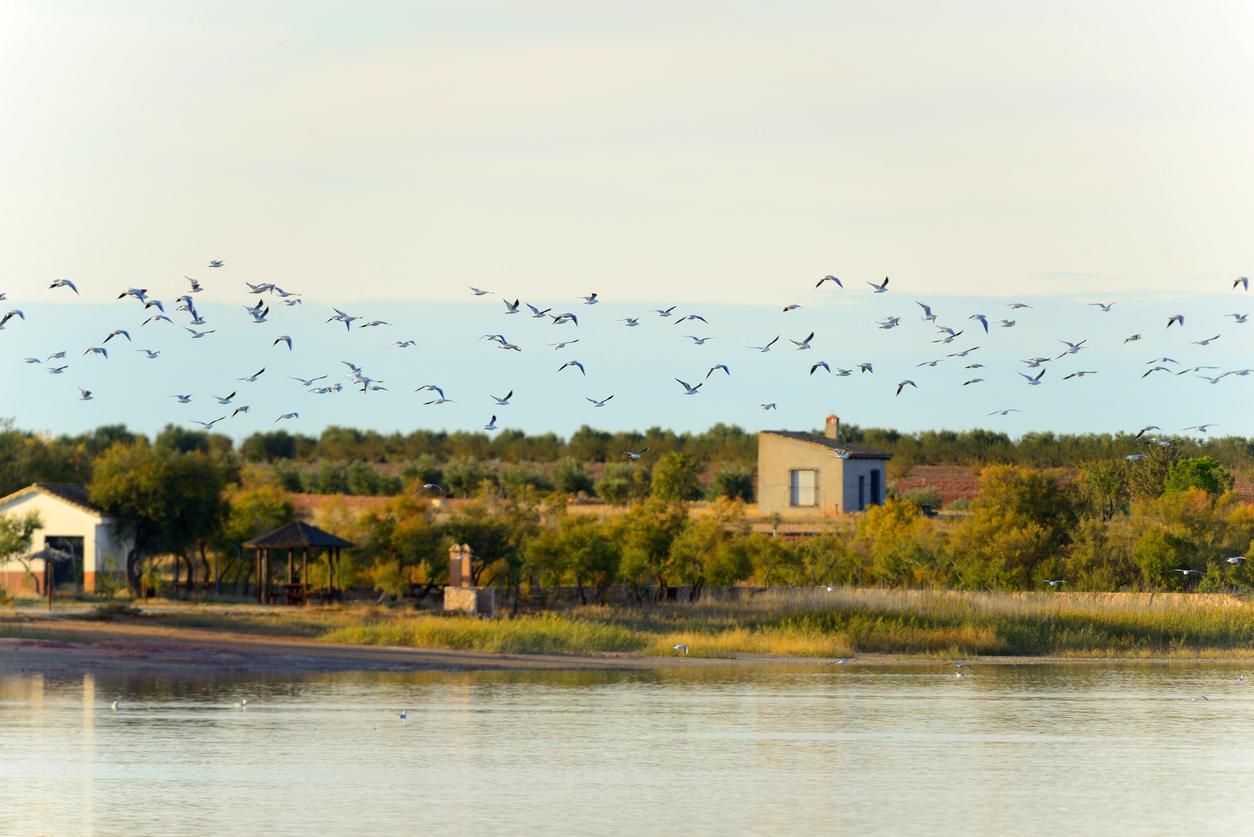Laguna de Villafranca de los Caballeros