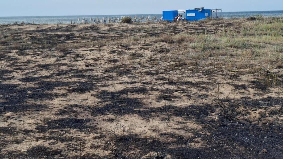 La vegetación de la duna del Raset ha quedado calcinada