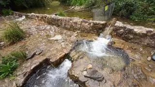 Catalunya quintuplica la inversión para derribar pequeñas presas y reconectar ríos
