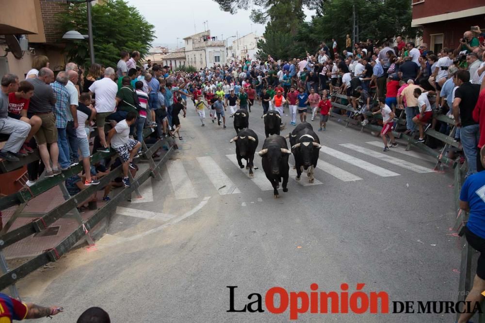 Primer encierro en Calasparra