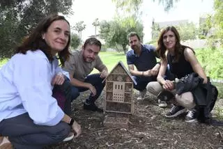 La UMU desarrolla un laboratorio ‘vivo’ para evitar la extinción de los polinizadores