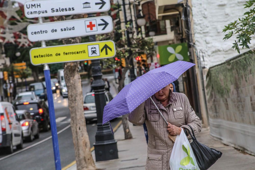 Las fuertes rachas de viento han provocado la caída de cascotes, árboles y toldos en la Vega Baja y la intervención de la Policía Local y Bomberos en Torrevieja y Orihuela