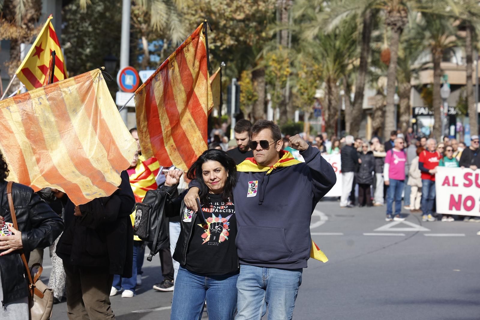 La manifestación 'Defensem la llengua, som País Valencià', en imágenes