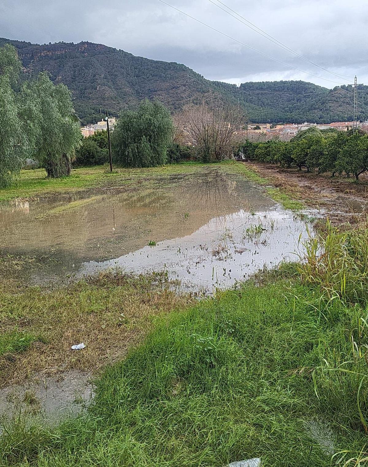Estado del terreno donde iba a ir la zona de acampada.