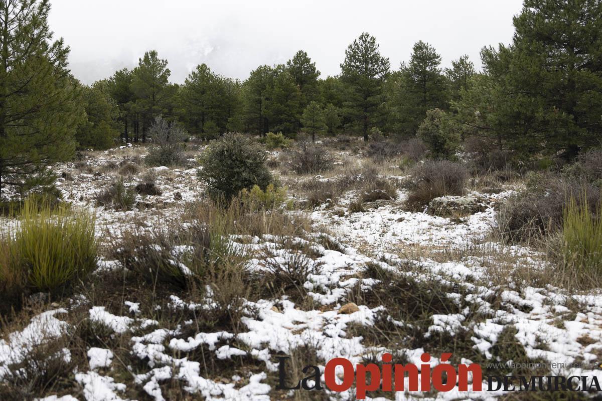 Nieve en las proximidades de Revolcadores en Moratalla