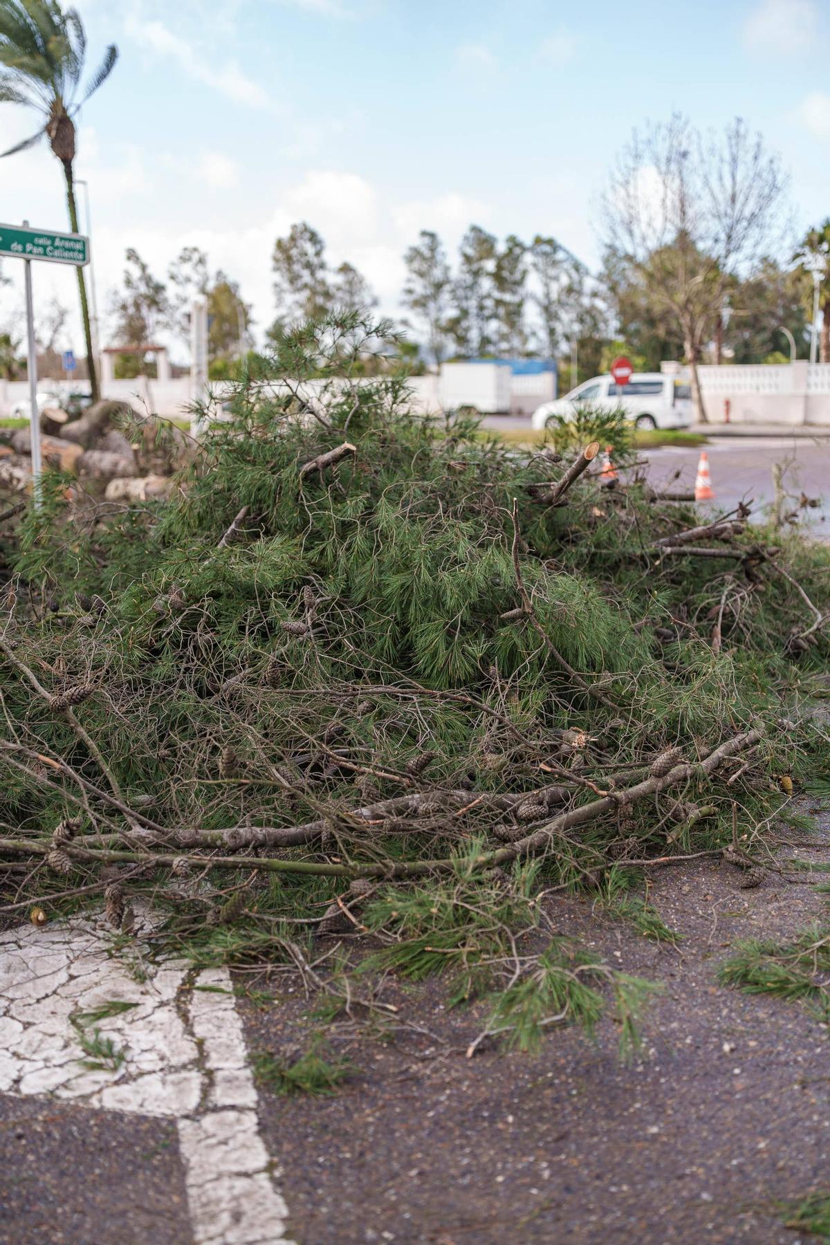 Efectos del temporal Leonardo a su paso por Mérida