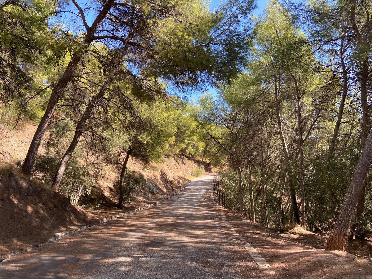 El parque forestal de Málaga El Morlaco, un enclave natural repleto de ardillas, erizos y camaleones con miradores al mar
