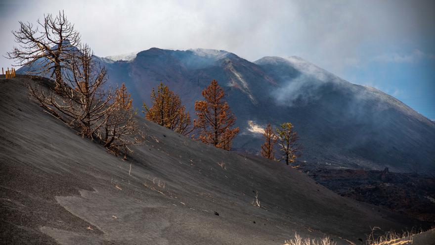 La Eurocámara da el primer paso para aprobar 9,45 millones de ayuda por el volcán de La Palma