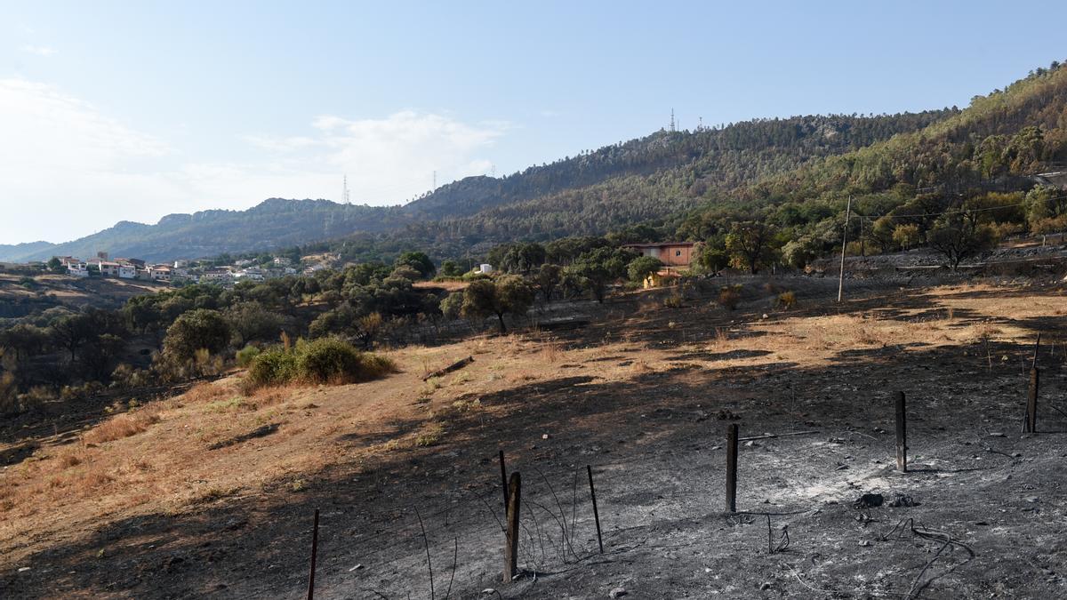 Superficie afectada por los incendios en Casas de Miravete.