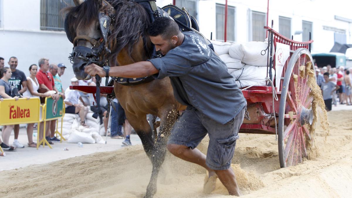 Participante del concurso de &quot;Tiro y Arrastre&quot; de 2018